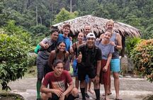 Full-Day Orangutans Adventure in Gunung Leuser