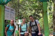 Full-Day Orangutans Adventure in Gunung Leuser