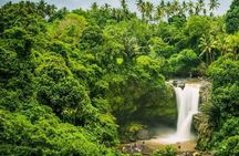 Ubud Instagram Spots Tour - One Day Private Trip
