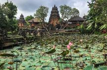Ubud Instagram Spots Tour - One Day Private Trip