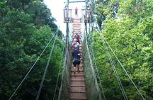 Zipline Mountain Adventure in Maui