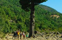 Las Animas Waterfall Tour