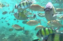 Samui Boat Charter, Private Half-Day 4 hours Koh Phangan Cruise from Koh Samui.