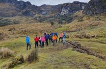 Cajas National Park and Cuenca City private Tour