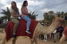 Premium Red Dune Safari, Sandboarding, Camel Ride, 5* BBQ Dinner 