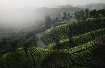14 Days Sri Lanka Tour - Explore Sri Lanka