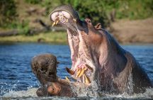 2 Days Lodge Safari - Lake Manyara and Ngorongoro Crater