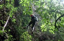Day Tour to Goa Jomblang and Goa Pindul River Tubing (06.00am-06pm)