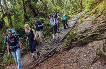 Kilimanjaro Climb Lemosho Route 8 days