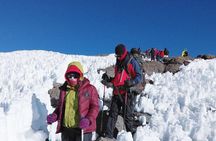 Mount Kilimanjaro 7 Days - Machame Route 