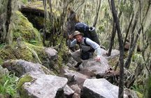Mt Kilimanjaro Trek, 6 Days - Umbwe Route 