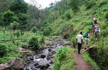 Materuni Waterfalls, Coffee & Cultural Tour Day trip