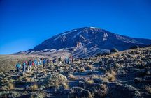 Private 7-Day Kilimanjaro Climb via Rongai Route 