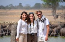 4 Days to Ruaha National Park from Dar es salaam/ Morogoro/ Dodoma Tanzania