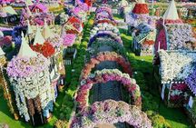Miracle Garden+Dubai Frame with Sharing Transfers