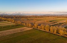 Ljubljana's Marshes Cycling Tour