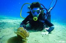 Heraklion: Scuba Diving Experience for First-Timers