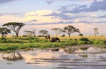 3 Days-Tarangire, Ngorongoro & Lake Manyara: Camping Joint Safari.
