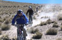 Downhill Tour - Mountain Bike in Arequipa