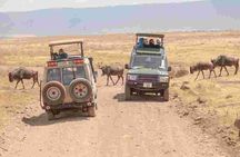5 Days - Best Of Tanzania Northern Zone, Lodge Safari