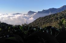  Sunrise Tour in Top Station, Munnar ( By Munnar Info)