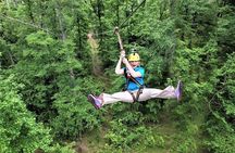 Fontanel Zipline Forest Adventure at Nashville North