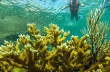 Isla Mujeres Snorkeling Tour Adventure