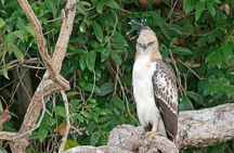 Wilpattu National Park Private Full Day Safari From Negombo
