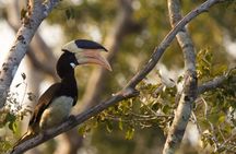 Wilpattu National Park Private Full Day Safari From Negombo