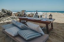 Love is in the air: Private Cabo Beach Sunset Horse Ride W Dinner