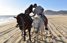 Love is in the air! Private horseback ride on the beach and sunset dinner!