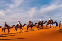  1 Night Camel Trekking in Merzouga