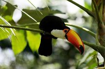 Temaiken Biopark Buenos Aires Tour