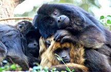 Temaiken Biopark Buenos Aires Tour