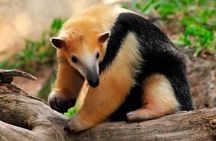 Temaiken Biopark Buenos Aires Tour