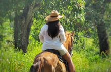 Discover a nature reserve on horseback 