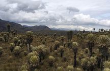 Trekking Snowy snowy edge of Tolima 3 days (5100 meters high)