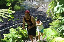 Tour Samoa with a local ~ Half Day Island Tour (Upolu)