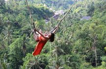 Private Full Day Tour to Ubud Highlights with Giant Swing 