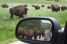 Private Custer State Park Safari and Hiking Tour