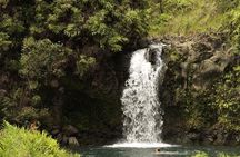 Waterfall and Rainforest Adventure