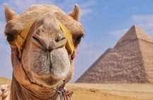 Try Our Journey Around The Pyramids by Camel Or Horse Ride