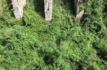  The Brimstone Hill Fortress Hike