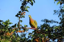 Yala Full Day Private Tour and Safari from Colombo or Negombo