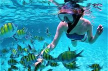 Luxury All-Inclusive Catamaran Cruise to Ile aux Cerfs and GRSE Waterfall