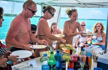 Catamaran Ile aux Cerfs, snorkeling + GRSE Waterfall, BBQ & Bar