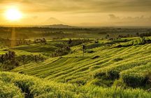 Full Day Tour of Tabanan