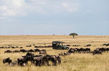 3 Days Maasai Mara Guided Safari from Nairobi