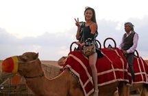 Private VIP Desert Safari with Barbecue Dinner 5 Star Camp