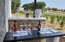 Wine Tasting Tour at a traditional farm in Mykonos